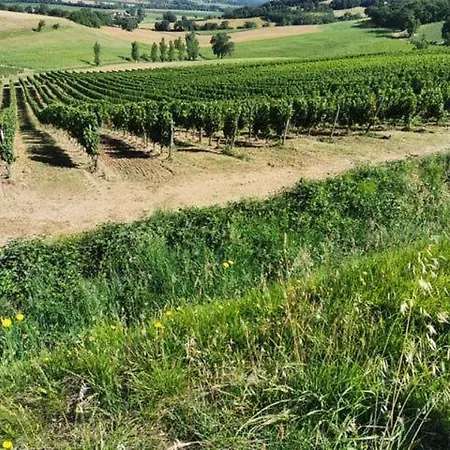 De La Fontaine Holiday home *