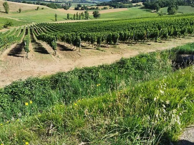 De La Fontaine Сasa de vacaciones *
